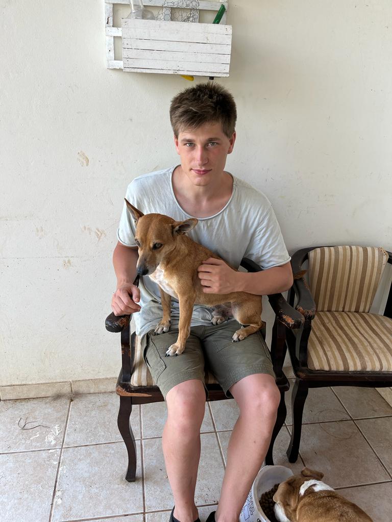 Isaac O - Lisboa - Dog Sitting