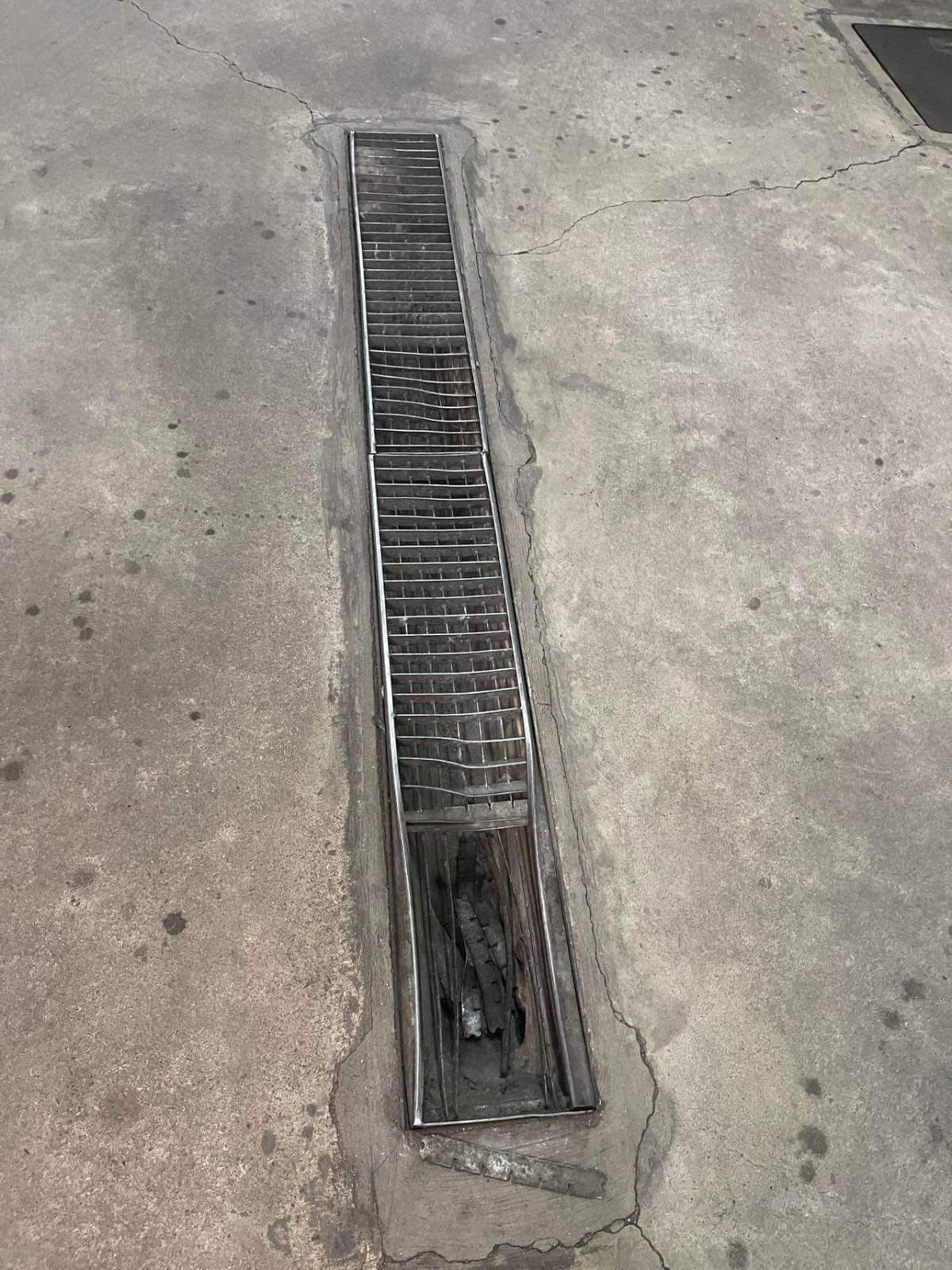 Francisco Trigo - Santa Comba Dão - Septic System Repair or Maintenance