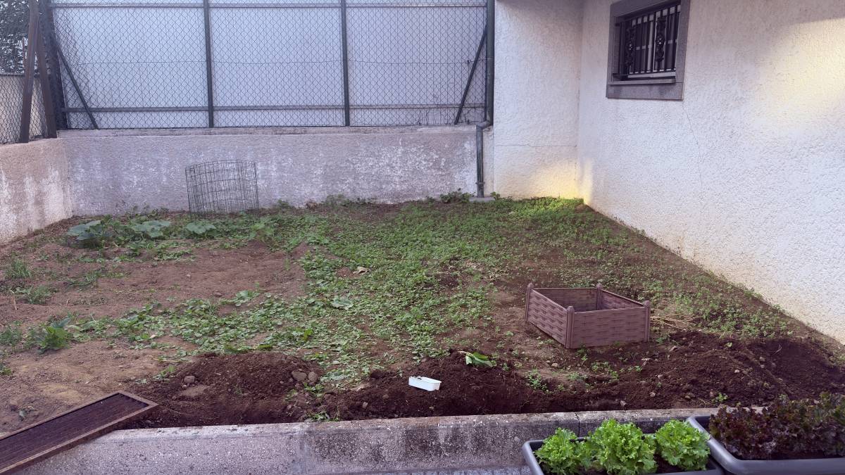 Serviços Gerais & Reparações - Viseu - Siding Installation, Repair, or Removal