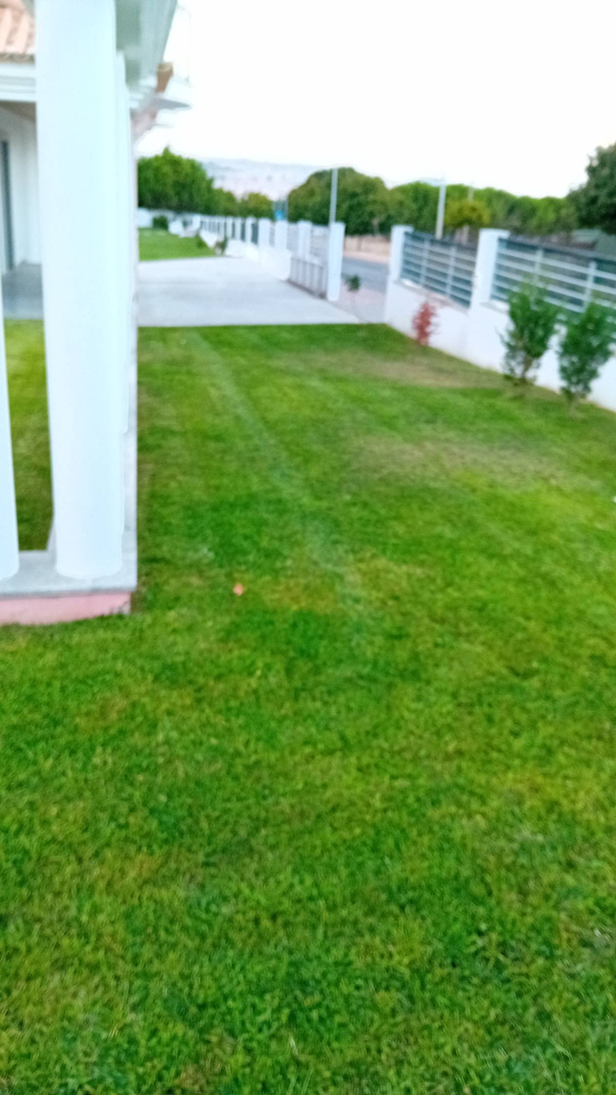 Jardins do Adonai - Lisboa - Instalación de césped artificial