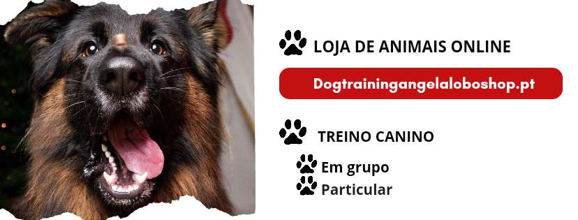 Ângela Lobo - Maia - Creche para Cães