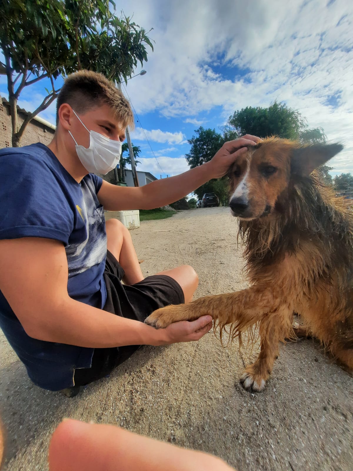 Isaac O - Lisboa - Pet Care and Grooming