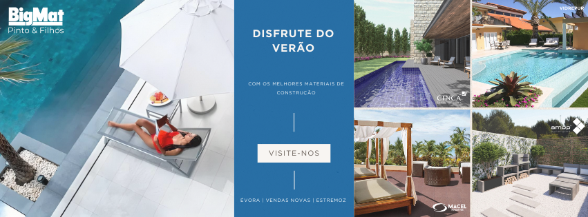 Sónia Silva - Évora - Marketing em Motores de Busca (SEM)