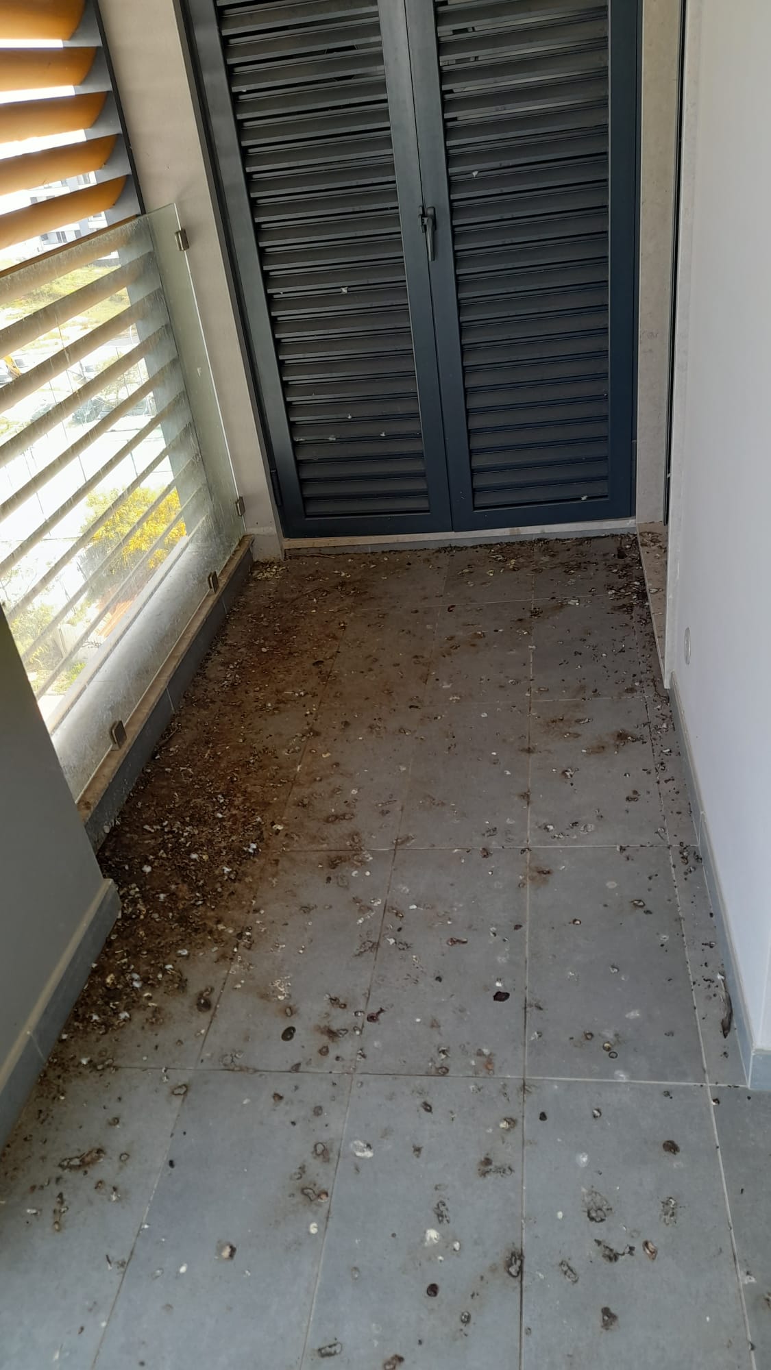 Canto D´Andorinha Unipessoal Lda - Faro - Limpeza de Apartamento