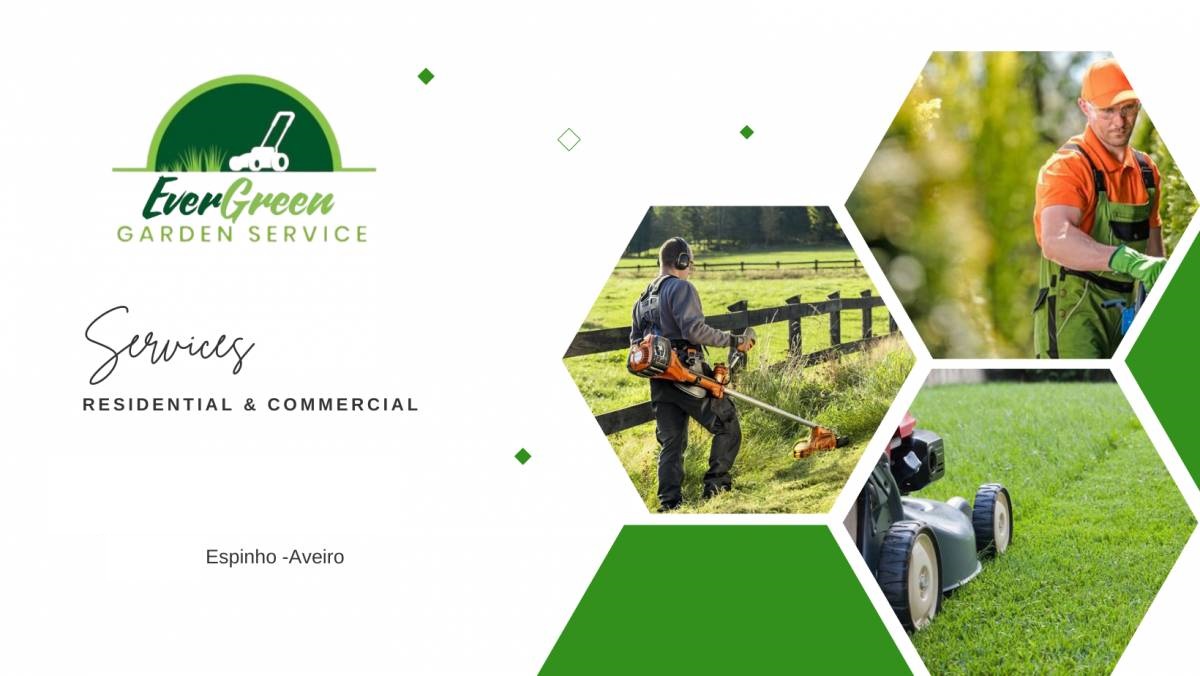 Ever Green - Espinho - Tree Planting