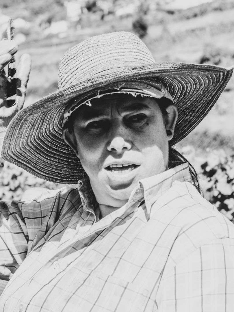 Joaquim Pedro Santos - Vila Nova de Gaia - Photo Restoration