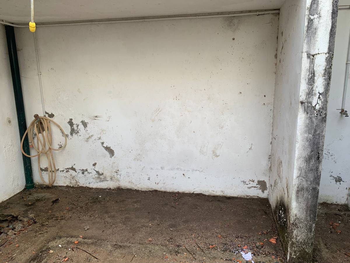 Jorge - Esposende - Property Cleanup
