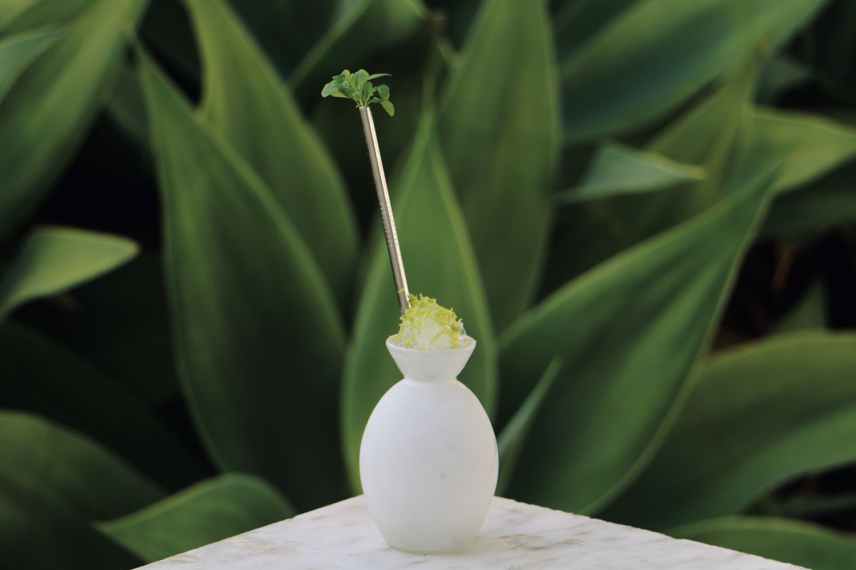 South Side Bartending - Faro - Aluguer de Fonte de Chocolate