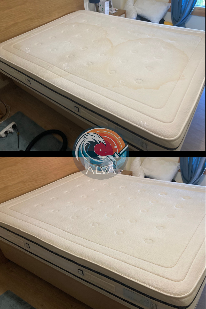 ALVA (fresh&clean) - Lisboa - House Cleaning (Recurring)
