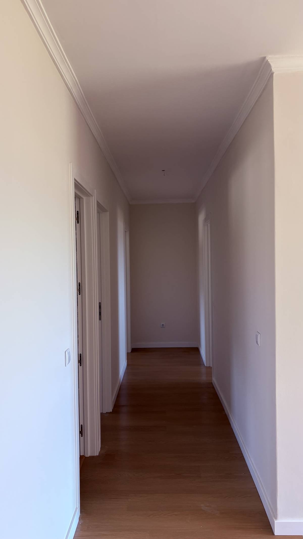 Serviços Gerais & Reparações - Viseu - Woodwork and Carpentry