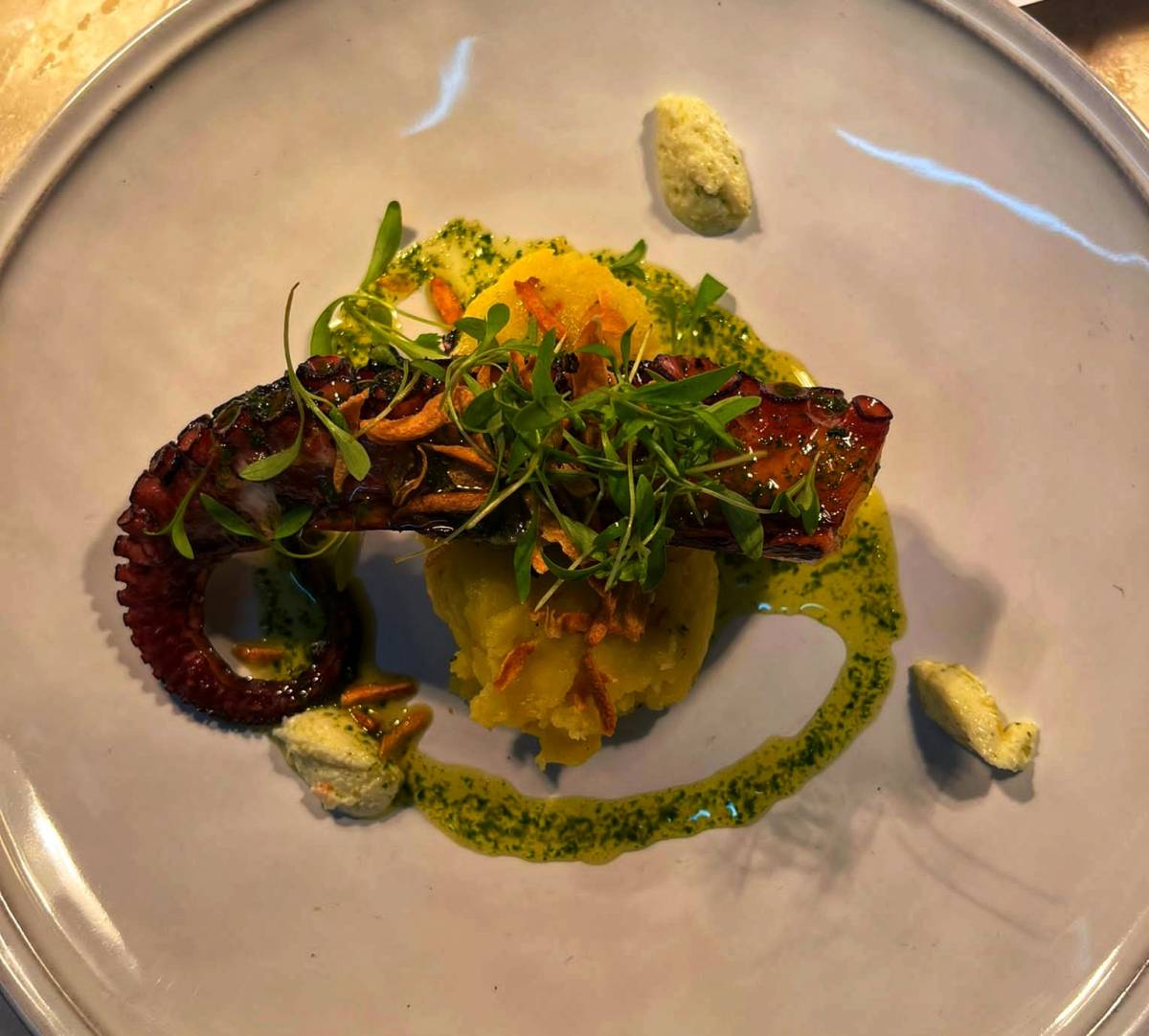 Seeds catering - Santa Maria da Feira - Personal Chef
