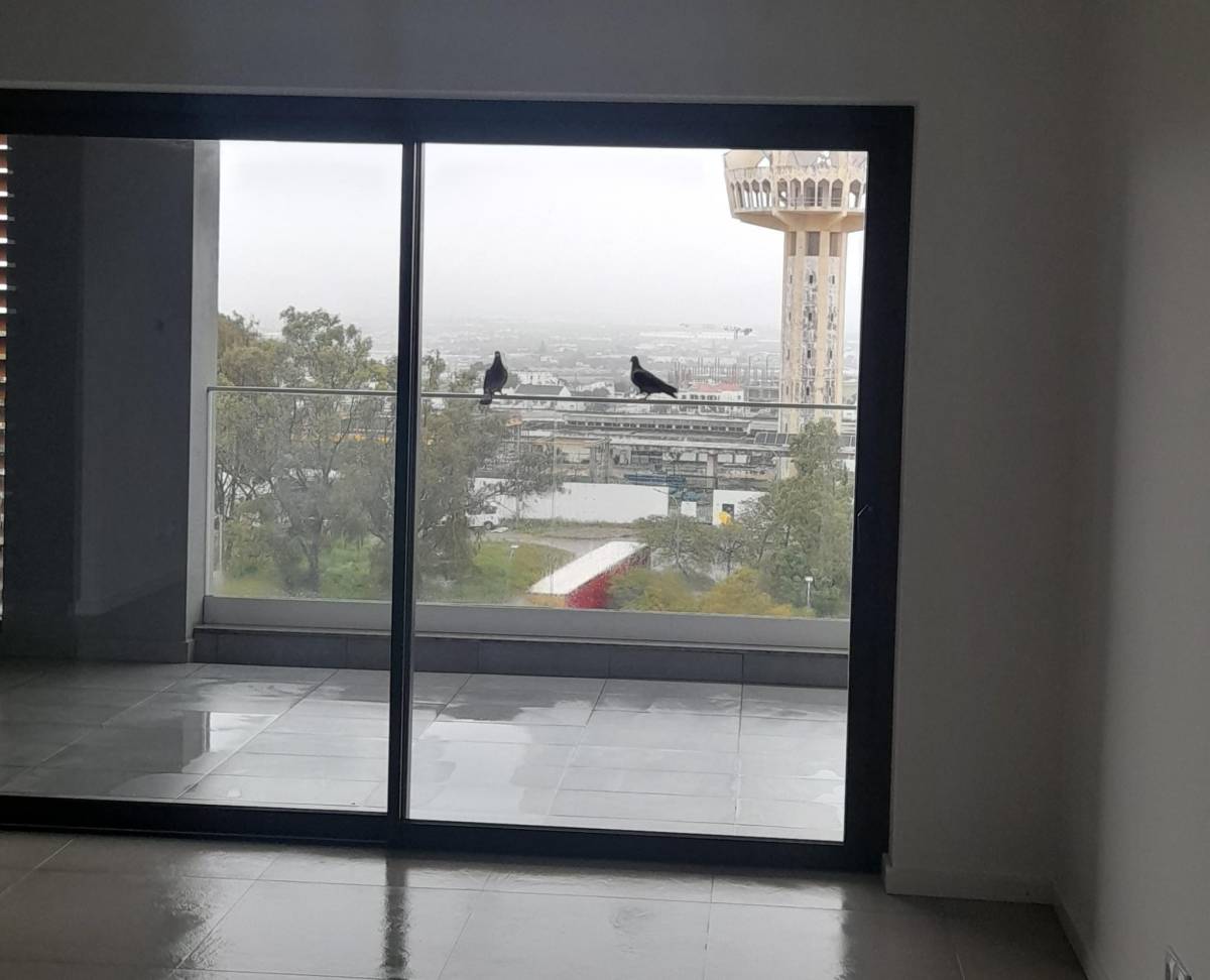 Canto D´Andorinha Unipessoal Lda - Faro - Remoção de Tronco de Árvore
