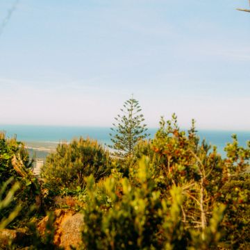 Pedro Carvalho - Sintra - Tierfotograf