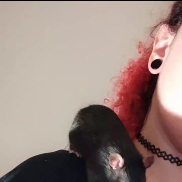 Sara - Almada - Pet Sitting