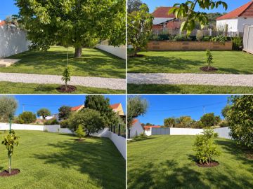 Serviço de Jardinagem - Casa
