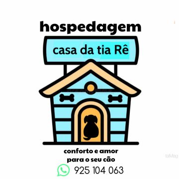 Casa da tia Rê - Oeiras - Motoristas