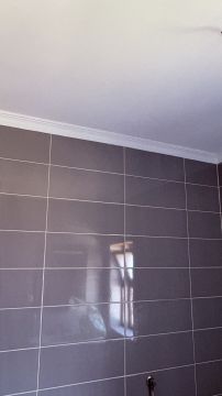Serviços Gerais & Reparações - Viseu - Asbestos Removal