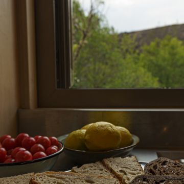 Seeds catering - Santa Maria da Feira - Catering Services