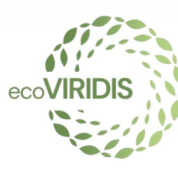 ECOVIRIDIS - Montijo - Remoção de Tronco de Árvore