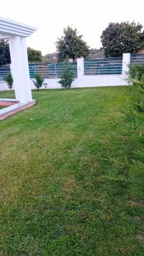 Jardins do Adonai - Lisboa - Trituración y eliminación de tocones