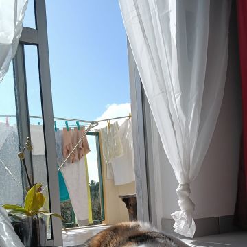 Sara - Almada - Pet Sitting
