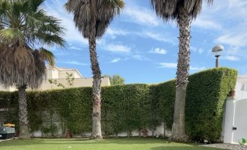 Serviço de Jardinagem