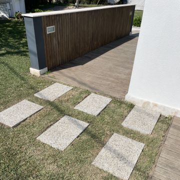 Jose Henrique - Braga - Shrub Removal