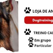 Ângela Lobo - Maia - Creche para Cães