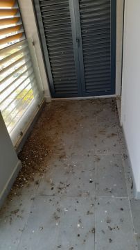 Canto D´Andorinha Unipessoal Lda - Faro - Limpeza de Apartamento
