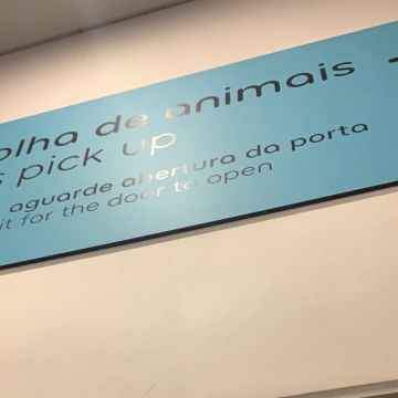 Glaucia Silva - Viseu - Apoio ao Domícilio e Lares de Idosos