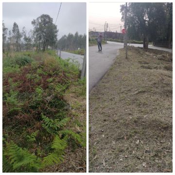 Ever Green - Espinho - Multi Service Lawn Care