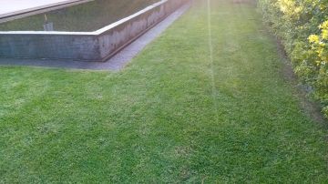 Jardins do Adonai - Lisboa - Eliminación de arbustos