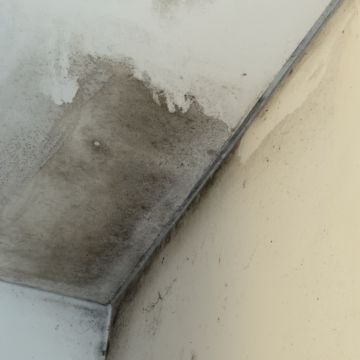 Total clean - Sintra - Limpeza de Propriedade