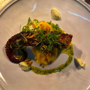 Seeds catering - Santa Maria da Feira - Personal Chef