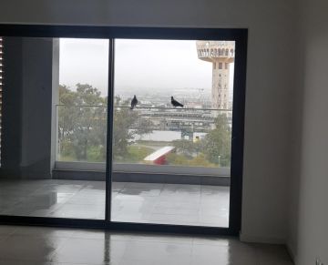 Canto D´Andorinha Unipessoal Lda - Faro - Remoção de Tronco de Árvore
