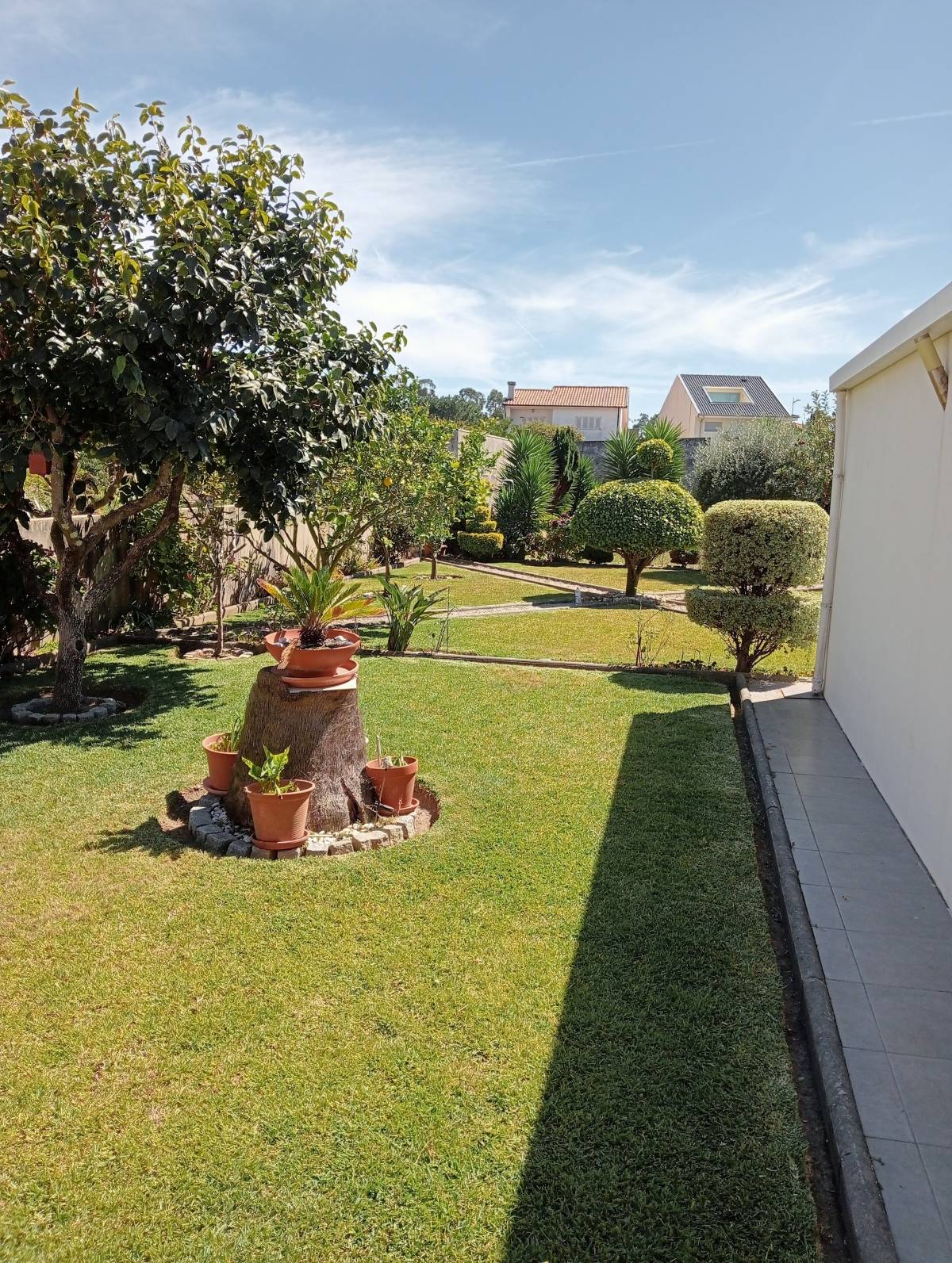 Fábio Teixeira - Vila Nova de Gaia - Remoção de Ervas Daninhas
