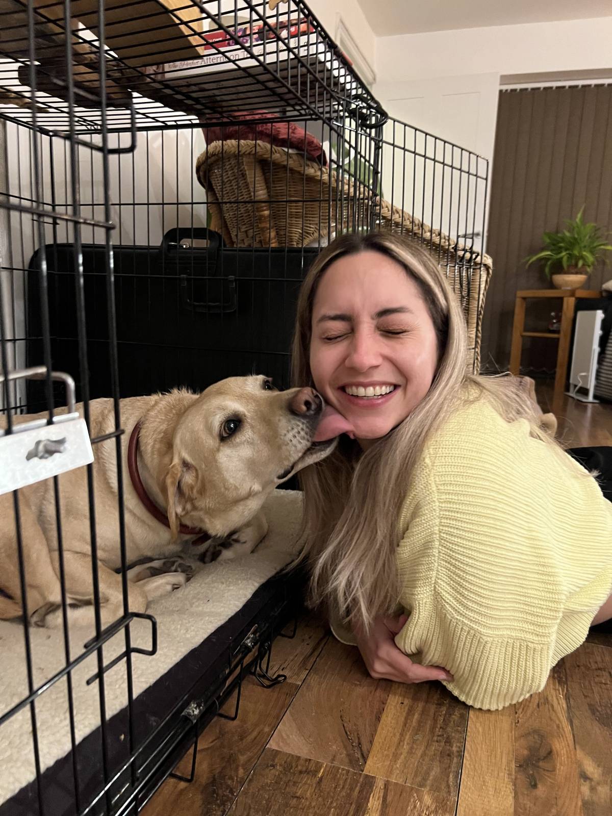Renata de Oliveira - Loures - Dog Walking