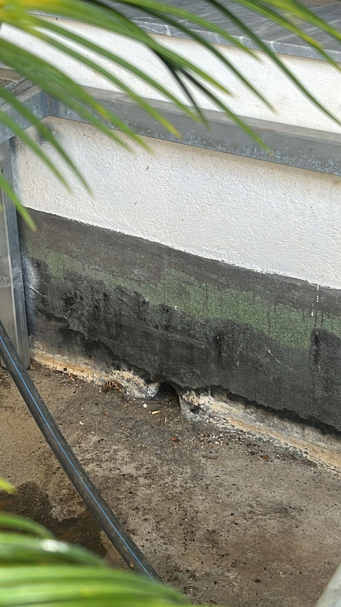 Sucesso Indelével Construção Lda - Loures - Manutenção e Reparação de Terraço