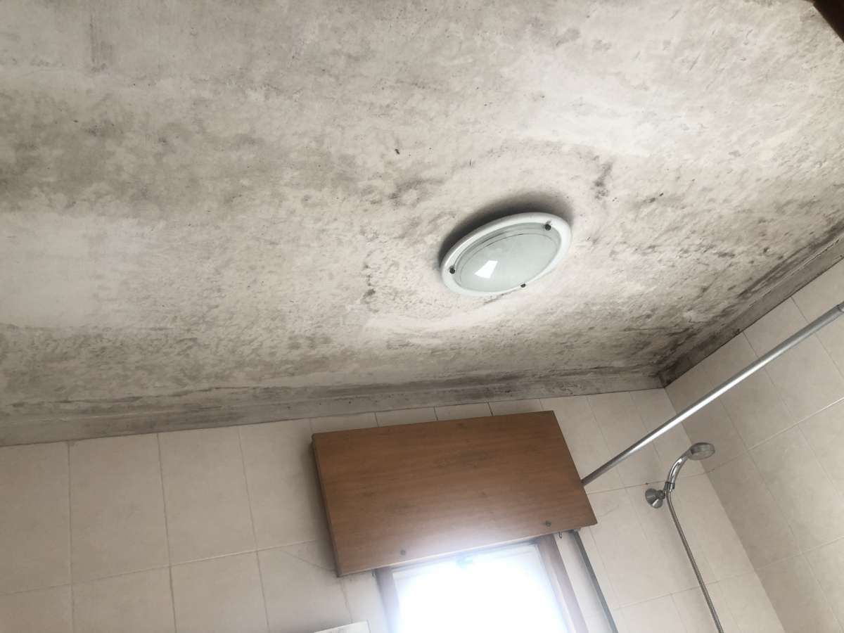 Vanisugas lda - Vila Nova de Gaia - Home Remodeling