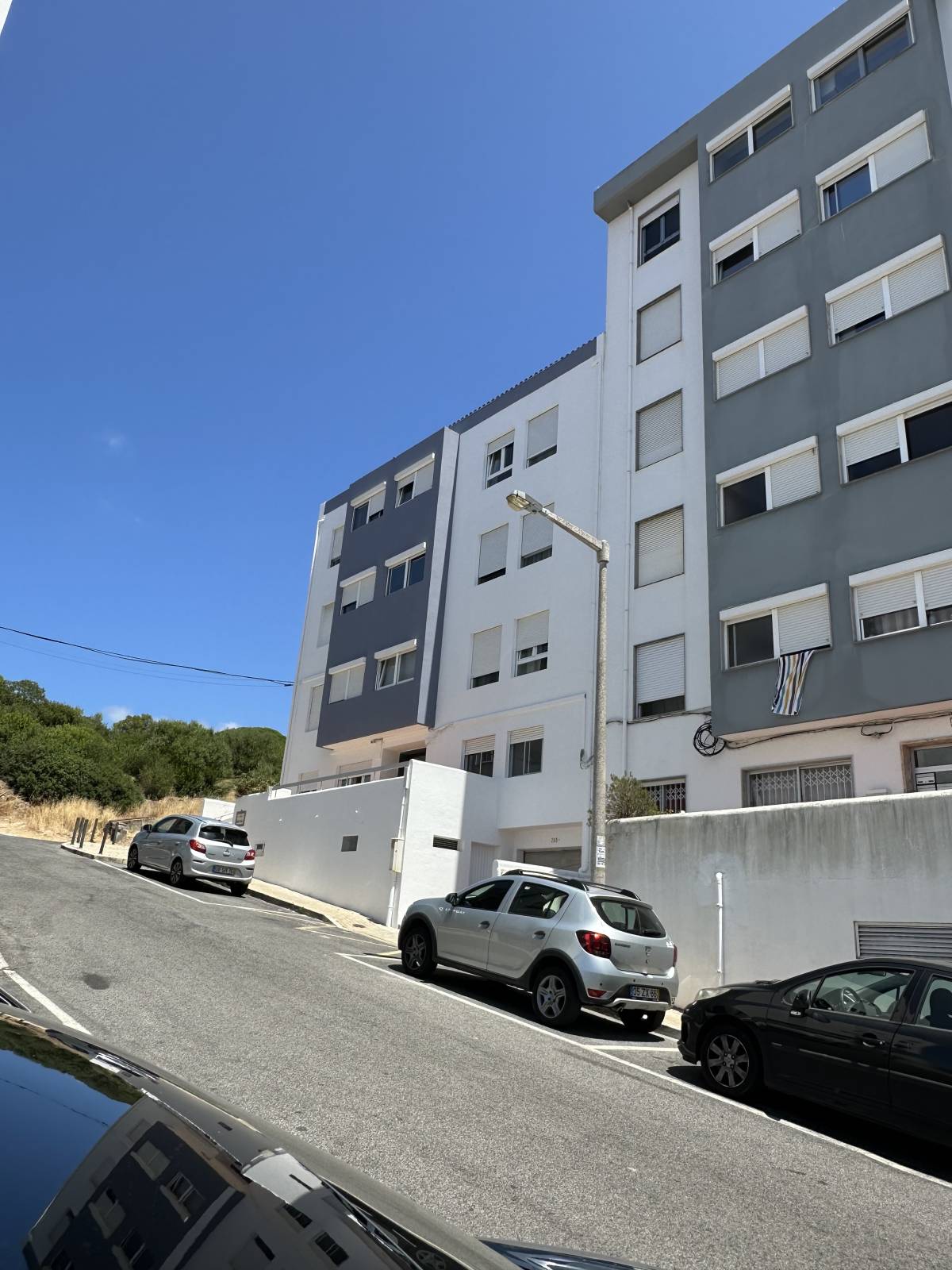 Muneeb - Sintra - Pintura