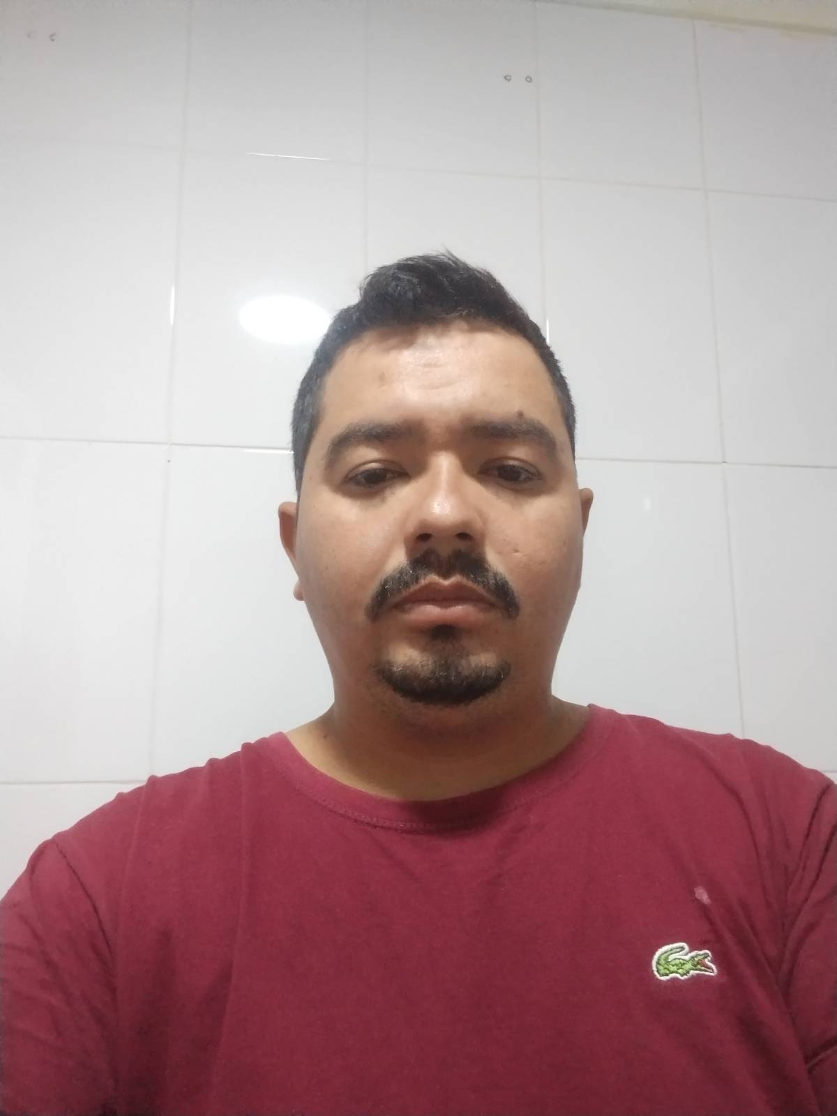DG Montagem🔨 - Leiria - Remoção de Tronco de Árvore