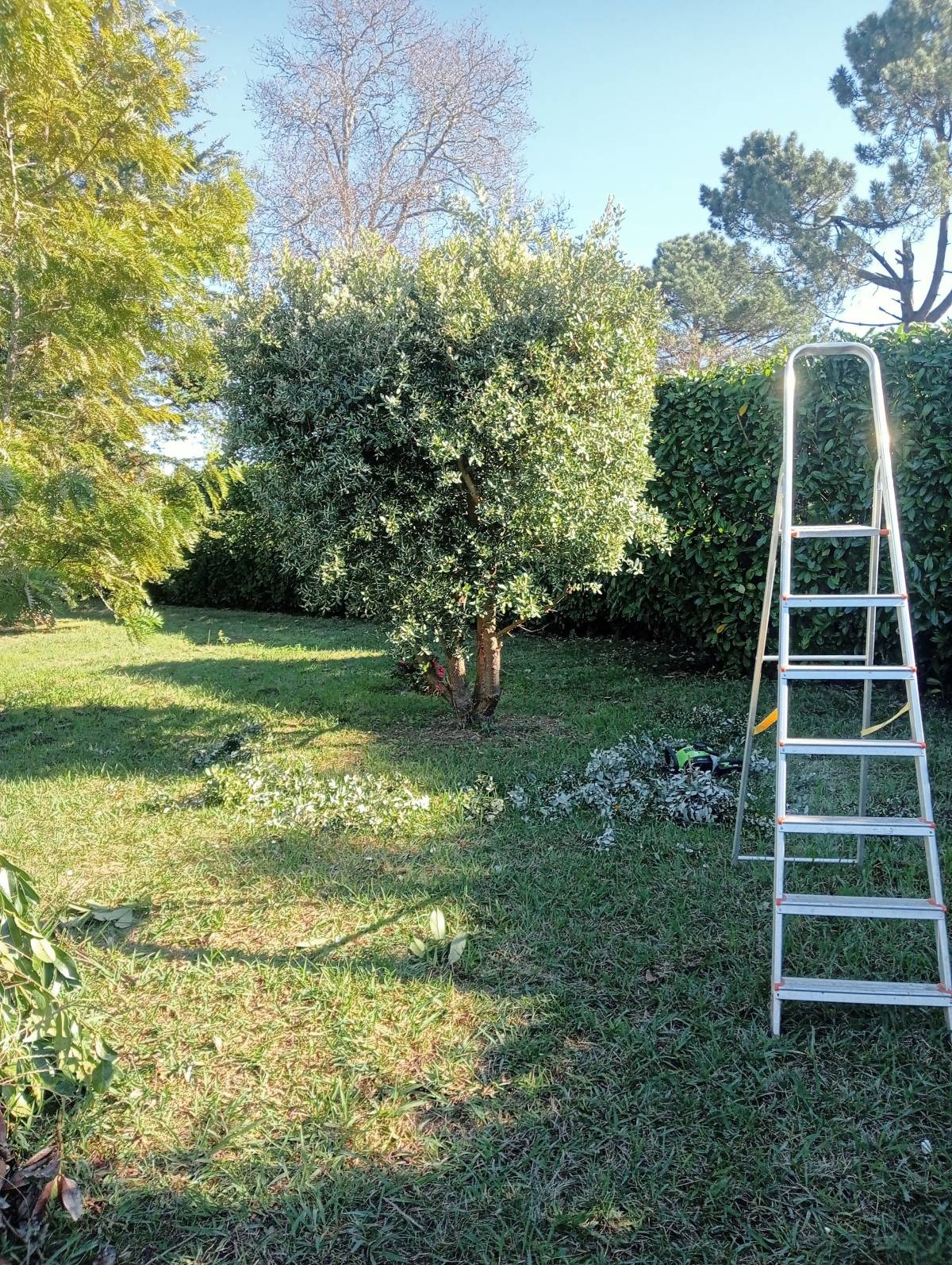 Fábio Teixeira - Vila Nova de Gaia - Jardinagem
