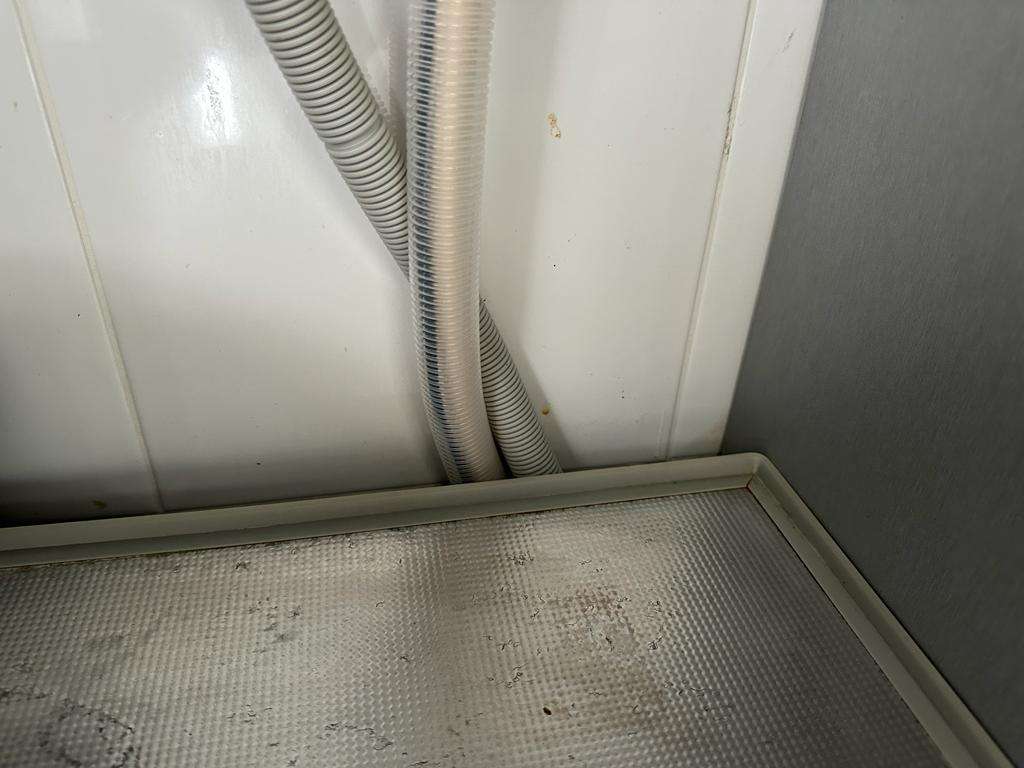 Deep or Spring Cleaning