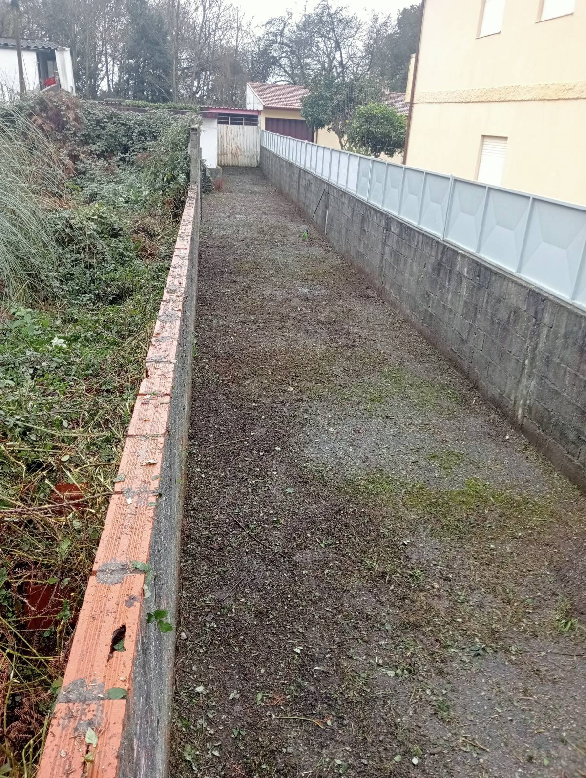 Fábio Teixeira - Vila Nova de Gaia - Remoção de Tronco de Árvore