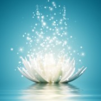 Joana Vasconcelos - Gondomar - Reiki