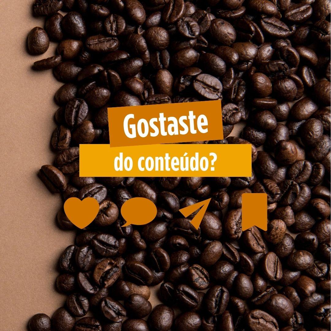 Beatriz Machado - Guimarães - Digital Marketing