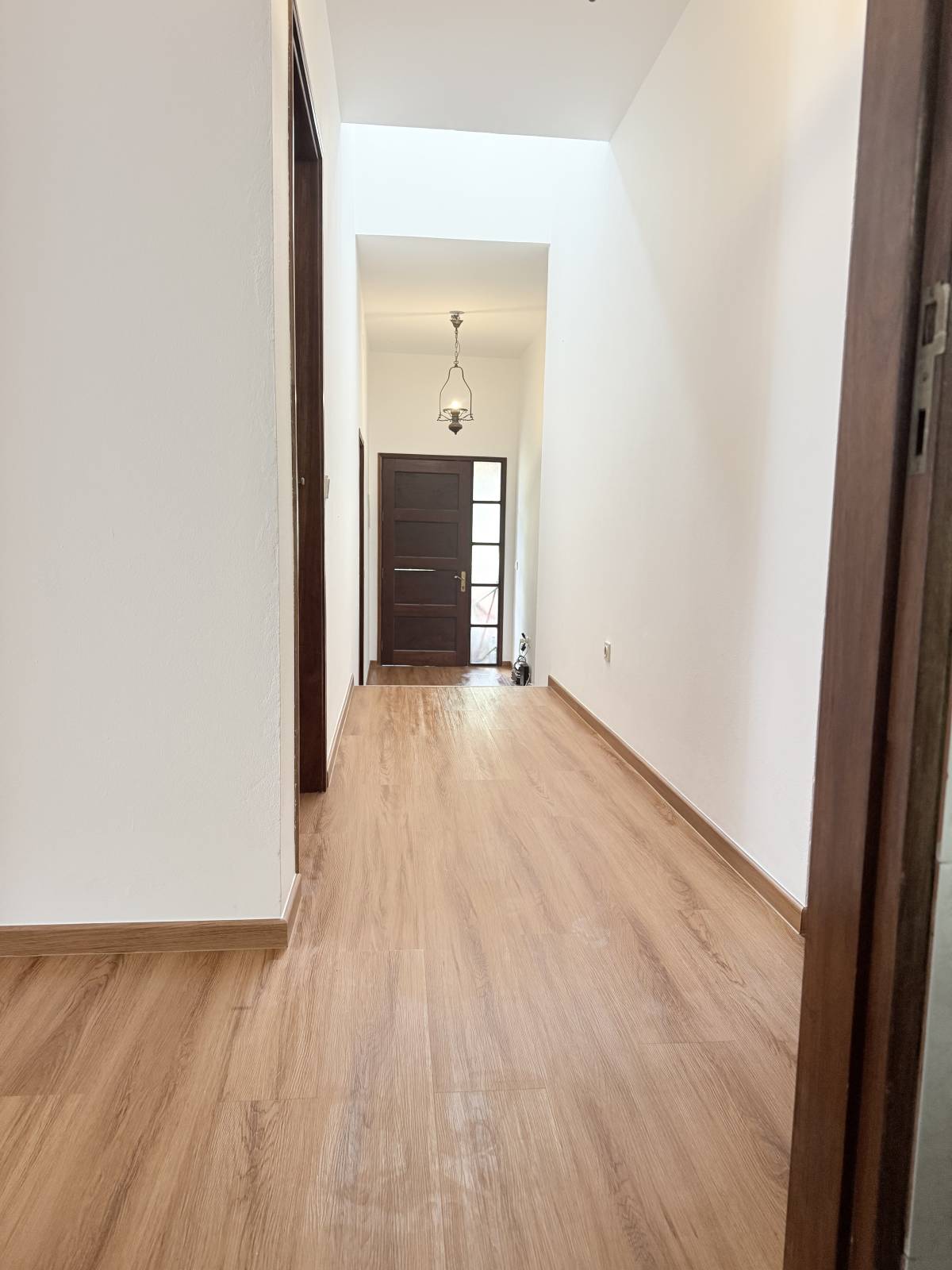 VN Construart - Setúbal - Parkett schleifen, versiegeln oder lackieren