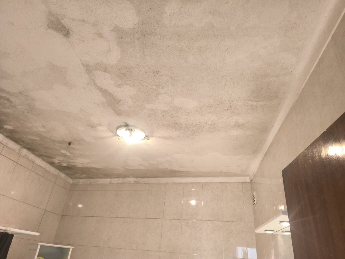 Reis Pinturas e Remodelações - Portimão - New Home Construction