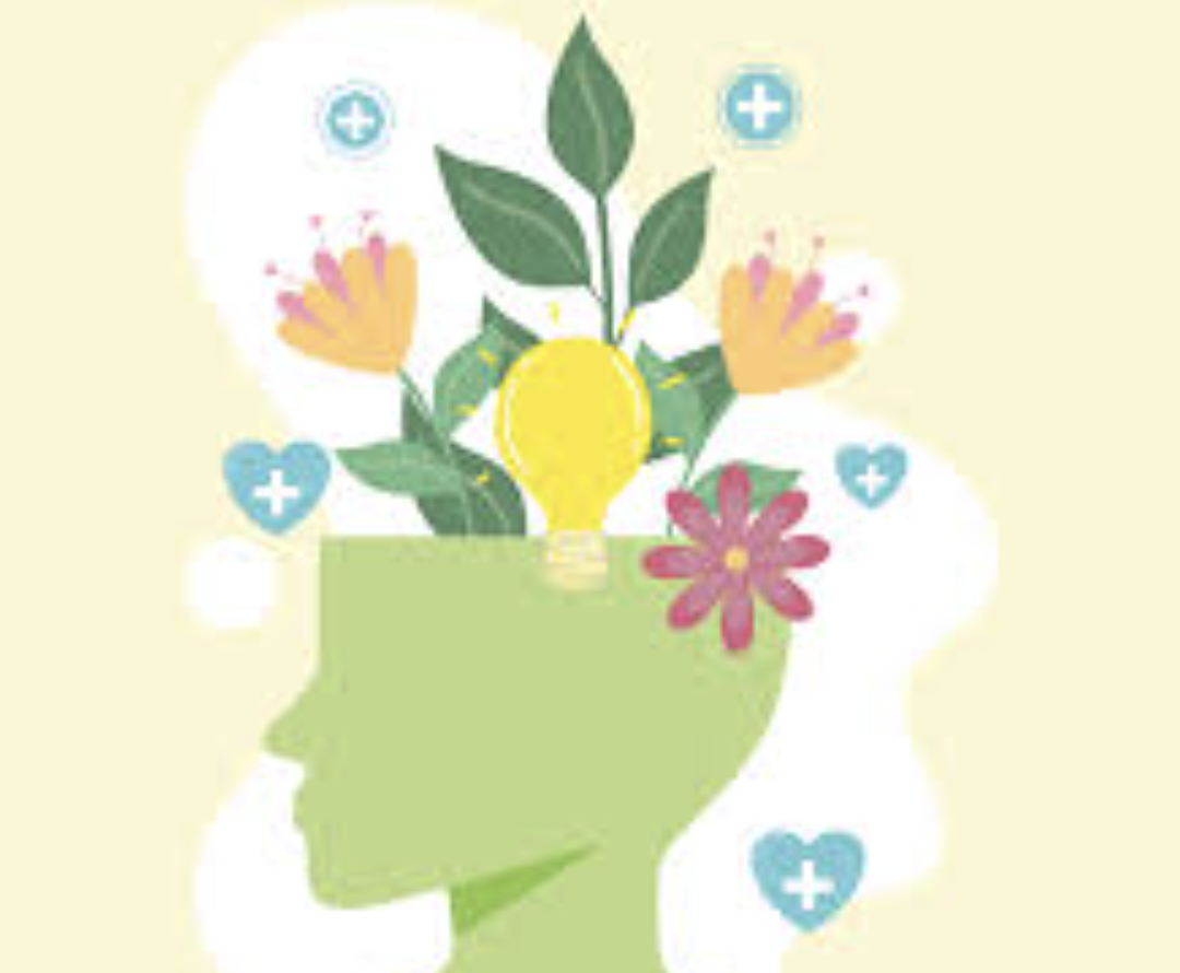 Cláudia Fernandes - Almada - Psychology and Counseling