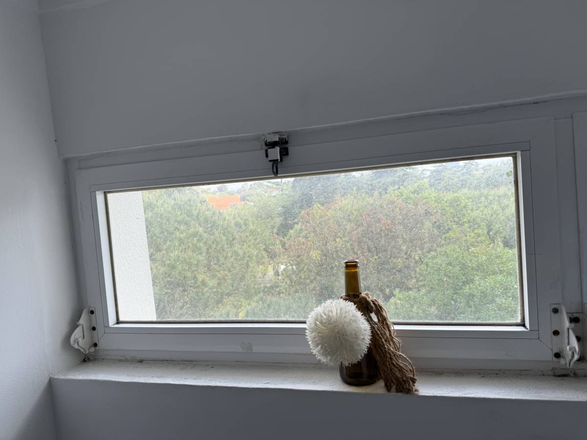 Lux Cleaning - Sintra - Deep or Spring Cleaning